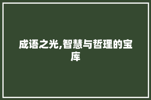 成语之光,智慧与哲理的宝库