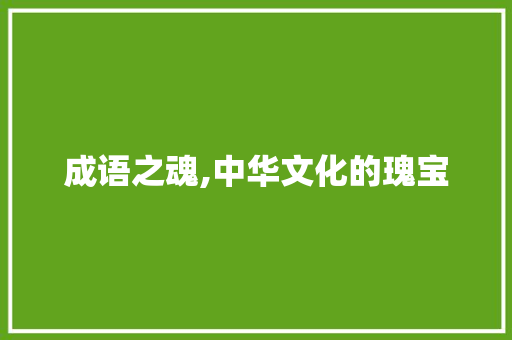 成语之魂,中华文化的瑰宝