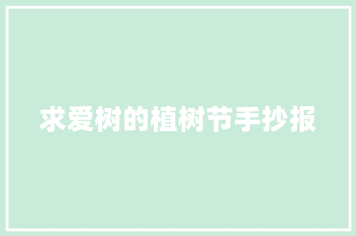 绩效改进计划书（PIP）在企业发展中的关键作用及实施步骤