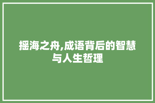 摇海之舟,成语背后的智慧与人生哲理
