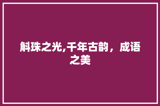 斛珠之光,千年古韵，成语之美