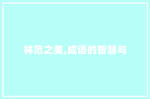林范之美,成语的智慧与 商业文稿