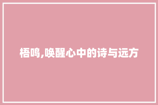 梧鸣,唤醒心中的诗与远方