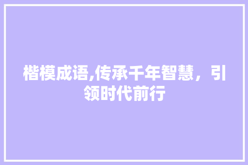 楷模成语,传承千年智慧，引领时代前行