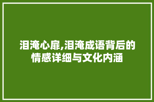 泪淹心扉,泪淹成语背后的情感详细与文化内涵