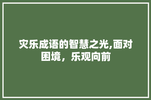 灾乐成语的智慧之光,面对困境，乐观向前