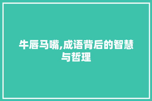 牛唇马嘴,成语背后的智慧与哲理