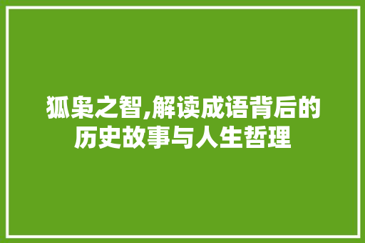狐枭之智,解读成语背后的历史故事与人生哲理