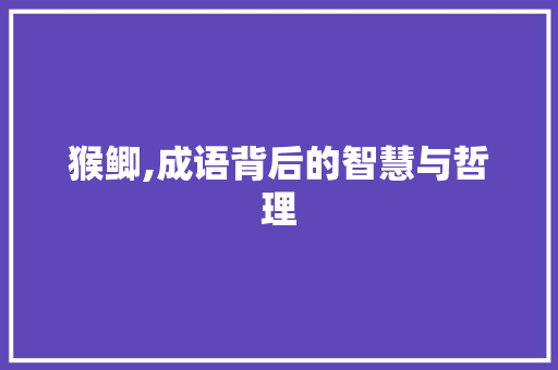 猴鲫,成语背后的智慧与哲理