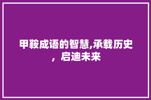 甲鞍成语的智慧,承载历史，启迪未来