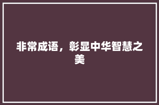 非常成语，彰显中华智慧之美