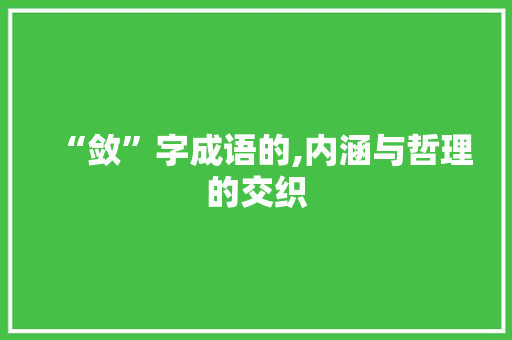 “敛”字成语的,内涵与哲理的交织