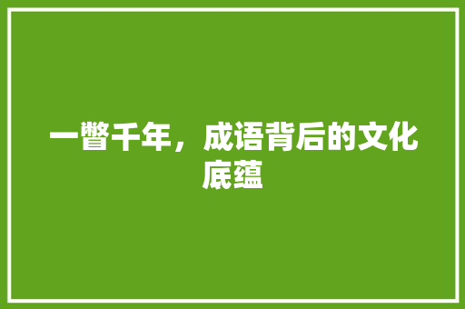 一瞥千年，成语背后的文化底蕴