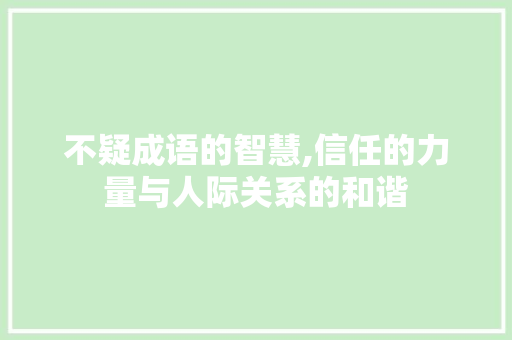 不疑成语的智慧,信任的力量与人际关系的和谐