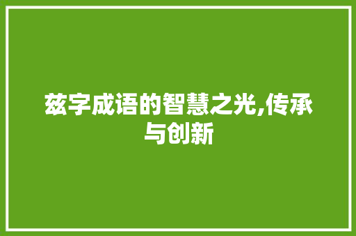 兹字成语的智慧之光,传承与创新