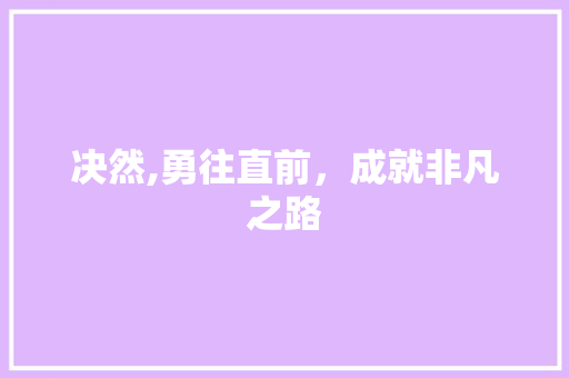 决然,勇往直前，成就非凡之路
