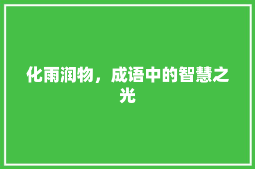化雨润物，成语中的智慧之光