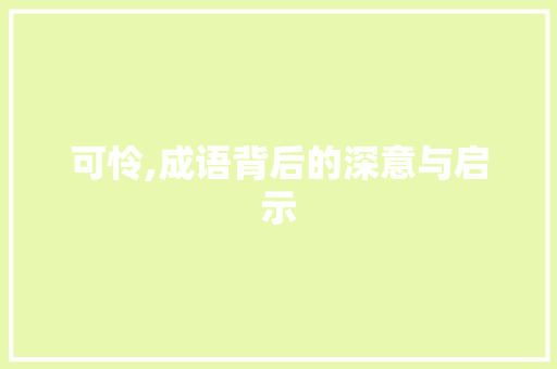可怜,成语背后的深意与启示
