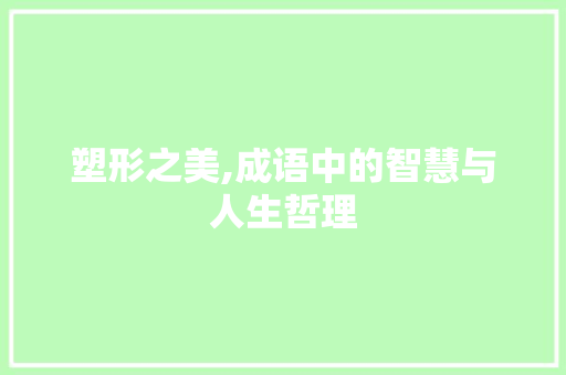 塑形之美,成语中的智慧与人生哲理