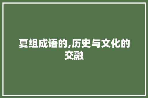 夏组成语的,历史与文化的交融