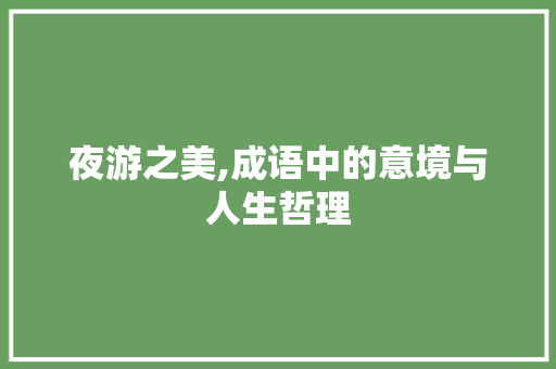 夜游之美,成语中的意境与人生哲理
