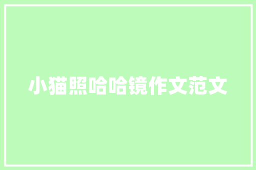管项目商业计划,创新驱动下的产业升级之路