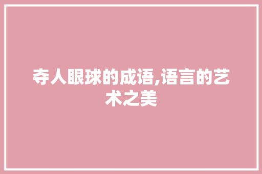 夺人眼球的成语,语言的艺术之美