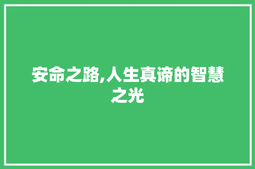 安命之路,人生真谛的智慧之光 生活类