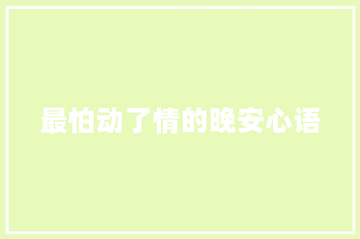 篮球支教计划,点燃希望，铸就未来