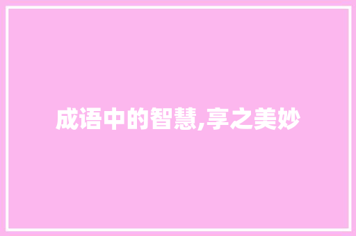 成语中的智慧,享之美妙 商业文稿