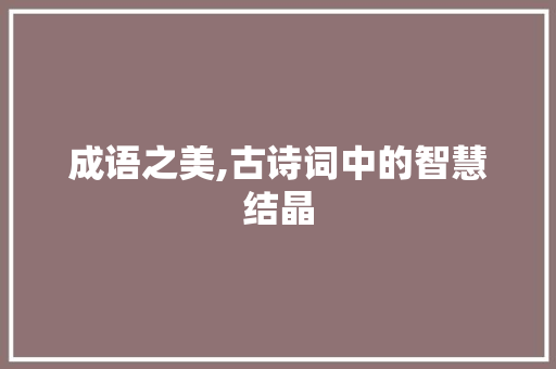 成语之美,古诗词中的智慧结晶