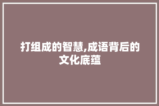 打组成的智慧,成语背后的文化底蕴