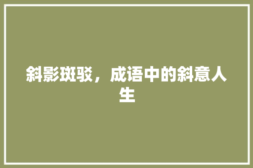 斜影斑驳，成语中的斜意人生