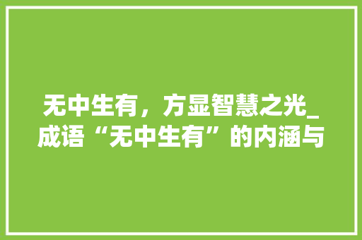 无中生有，方显智慧之光_成语“无中生有”的内涵与价值