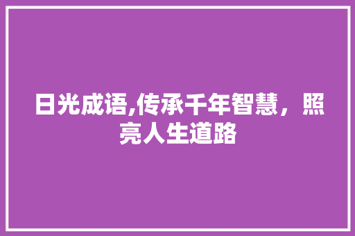 日光成语,传承千年智慧，照亮人生道路