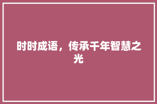 时时成语，传承千年智慧之光
