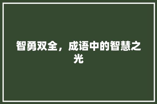 智勇双全，成语中的智慧之光