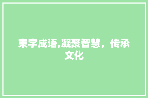 束字成语,凝聚智慧，传承文化