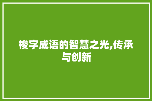 梭字成语的智慧之光,传承与创新