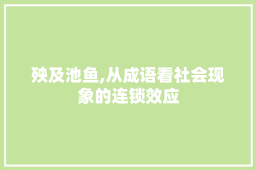 殃及池鱼,从成语看社会现象的连锁效应