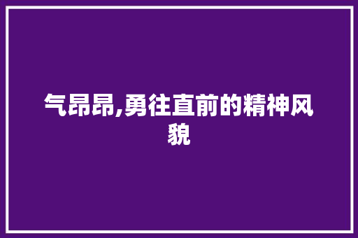 气昂昂,勇往直前的精神风貌 工作总结