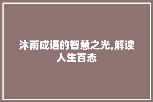沐雨成语的智慧之光,解读人生百态