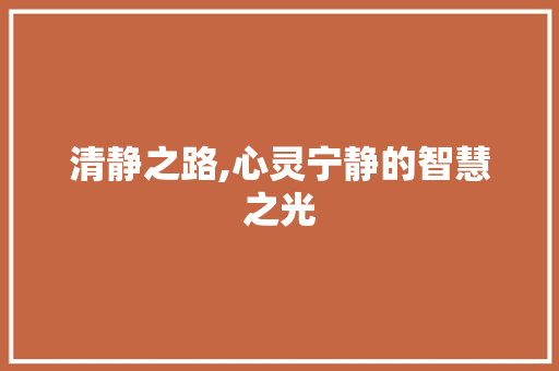 清静之路,心灵宁静的智慧之光