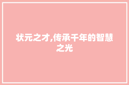 状元之才,传承千年的智慧之光