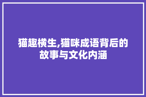 猫趣横生,猫咪成语背后的故事与文化内涵