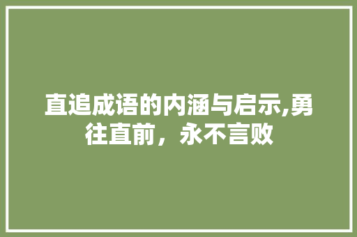 直追成语的内涵与启示,勇往直前，永不言败