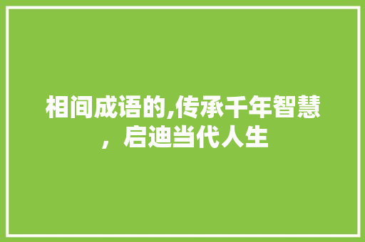 相间成语的,传承千年智慧，启迪当代人生