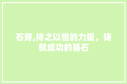 石穿,持之以恒的力量，铸就成功的基石