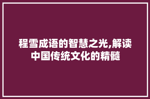 程雪成语的智慧之光,解读中国传统文化的精髓 商业文稿