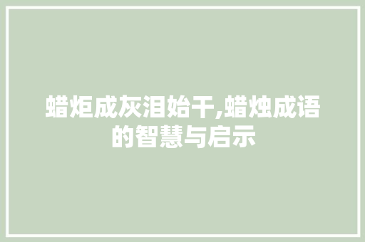 蜡炬成灰泪始干,蜡烛成语的智慧与启示